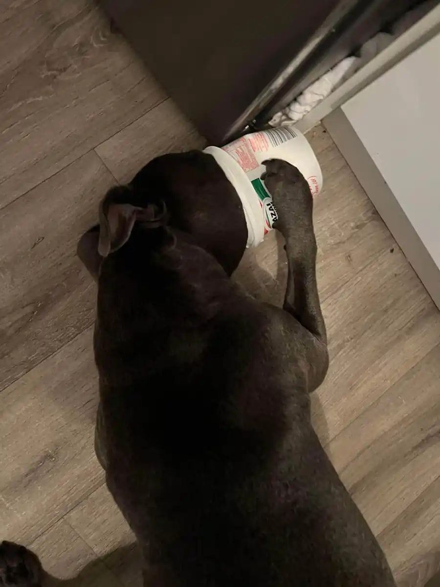 inscription 5df3d879f0978c51a7f586d3d1948be0246d31d95535f092360c6b1f5abd6ca3i0