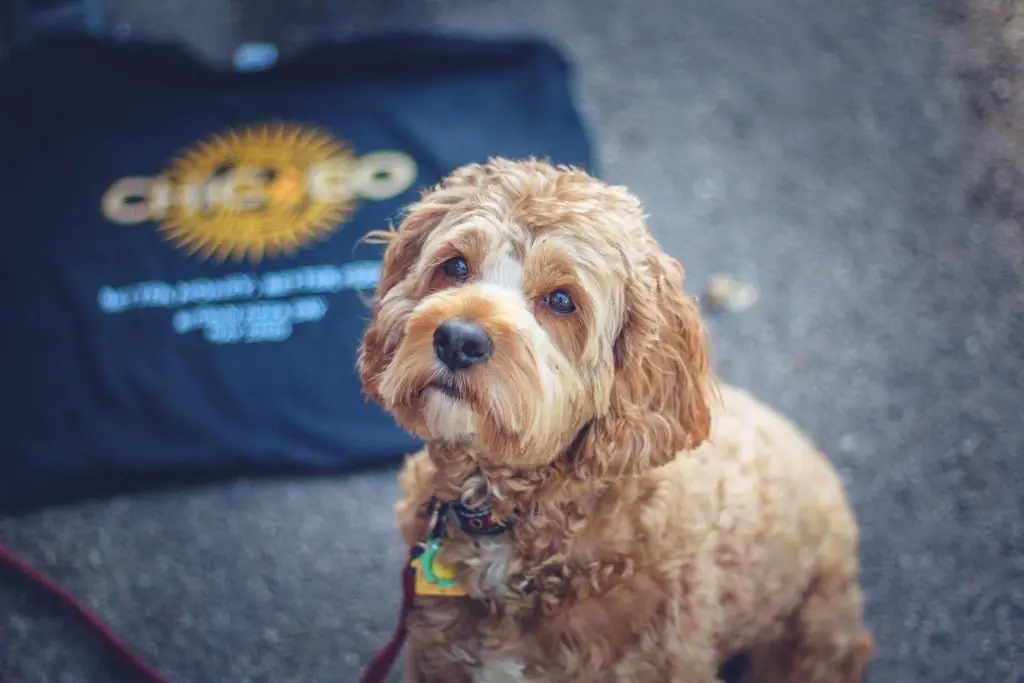 inscription 61229af10b52d9be544965a8d1cd6e35ed99fb6f015bb52f2ea67ed3166b30d7i0