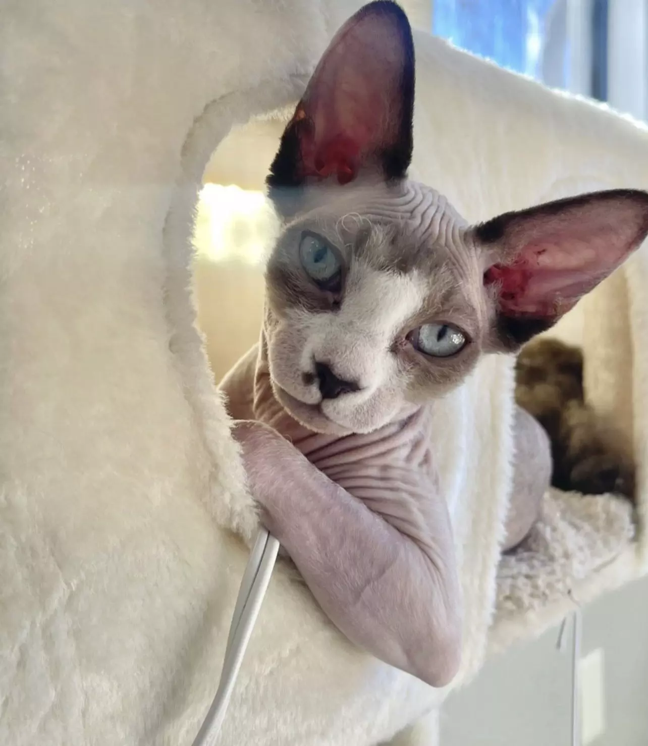 inscription 61ce7930ba07cd780f9d886ab5594cbb8ccf9e8d0ca9f5c0dc98bcbbd389b4a0i0