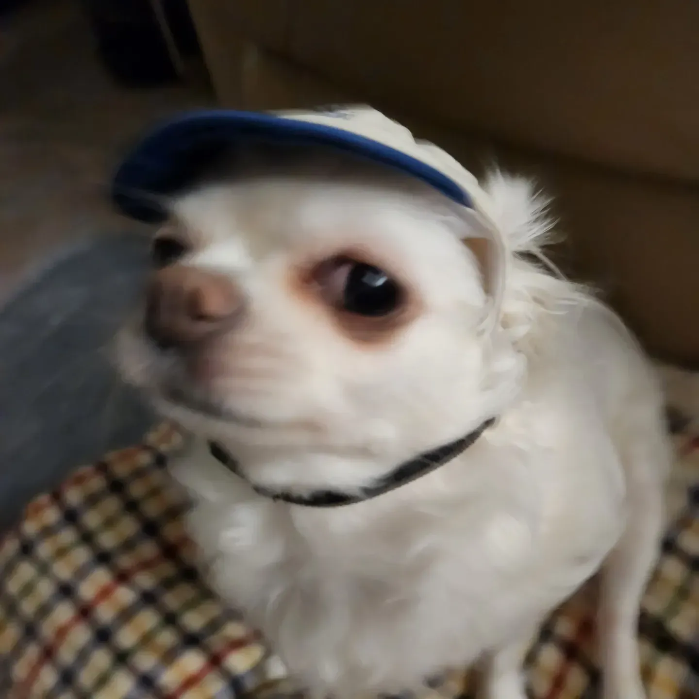 inscription 62269b64d712211366ed26d9b9b78b4e99f144b70c0562f9b62df74e556e598di0