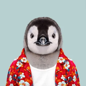 inscription 6393c49d17c9a3923f25dfbe94449a3988b263d2be29aa266844faee164cb477i0