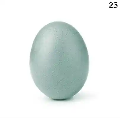 inscription 647ad2b57d67bcb72165a4f1c99ea888517bcdc88341f673e12f533bc04e741ci0