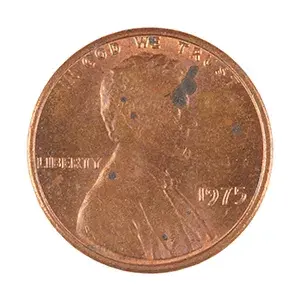 inscription 660f95e6f600c67de5b6421a2d6399f78dfc9ca70fdbc81e31ba0e37a8855069i0