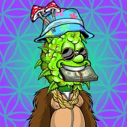 inscription 6747bb3a8531a7f9b55b3083dcf422de4b789fd32cf55d416907fbda65384f43i0