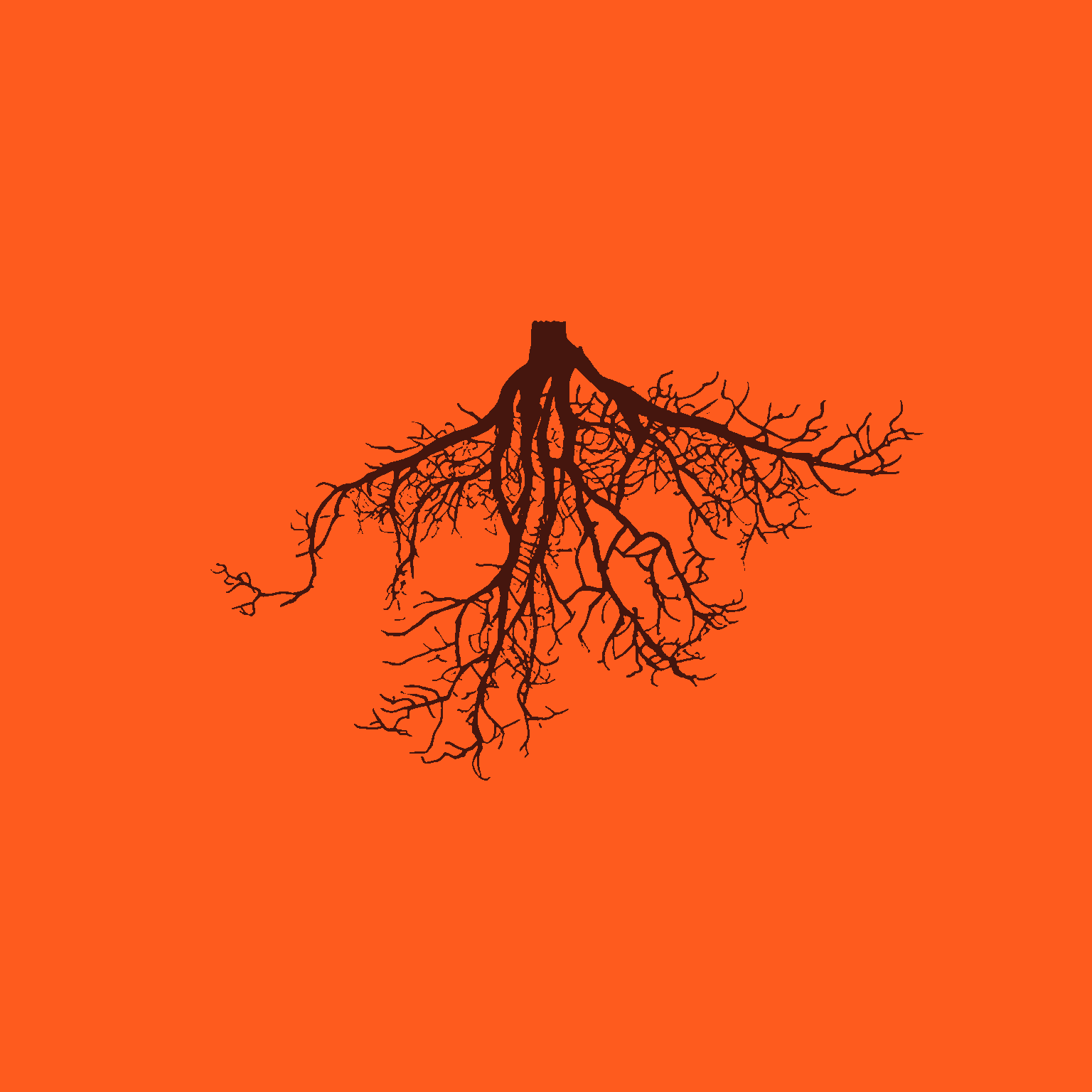 inscription 6b372a07cce71bef6370101682bd3e7b36dace746beba8b70d7306a47b773bcai0