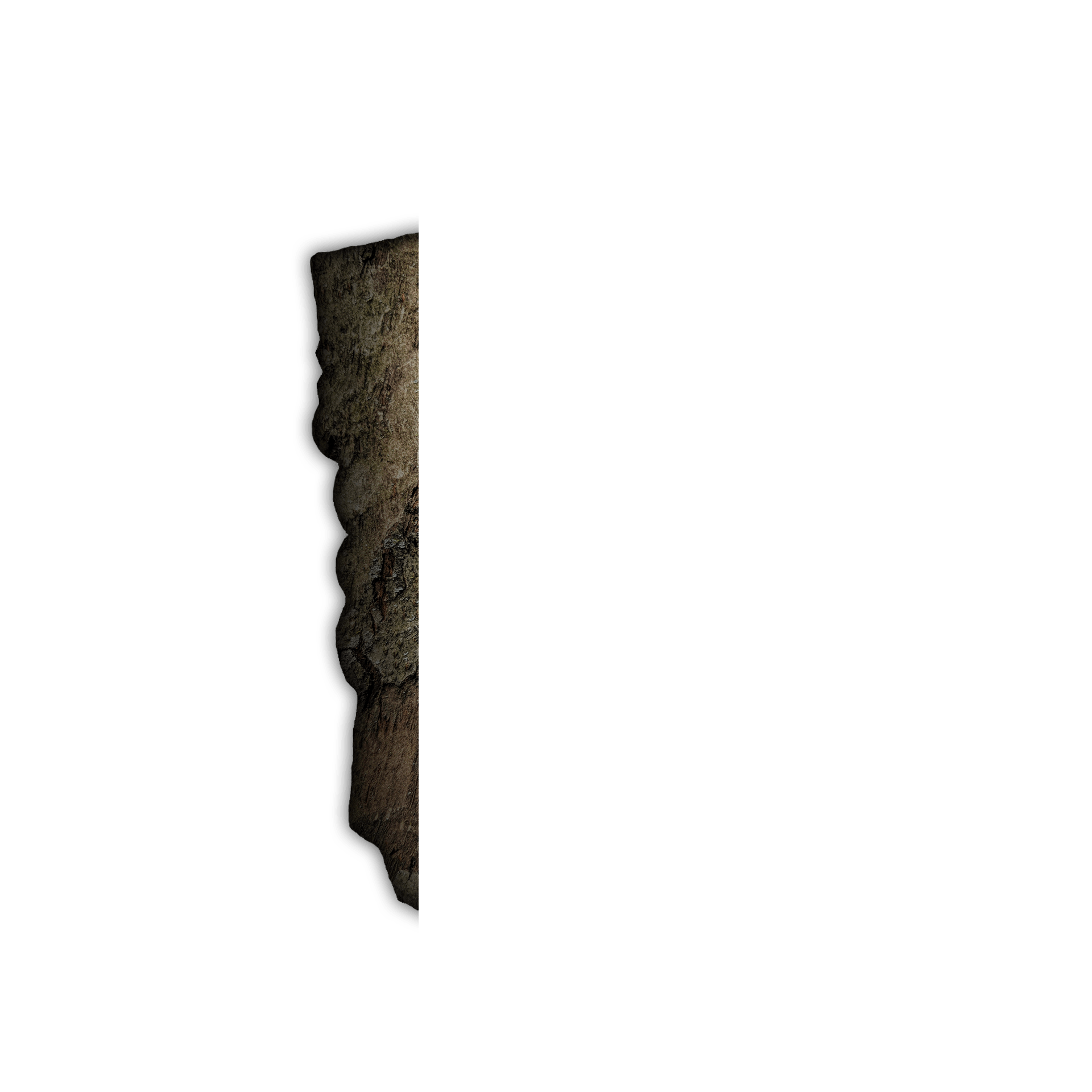 inscription 6d89fc98770f0c8b525f20a1cc3736e34c914ceed37dd9b56eeae47853a16c1ai1