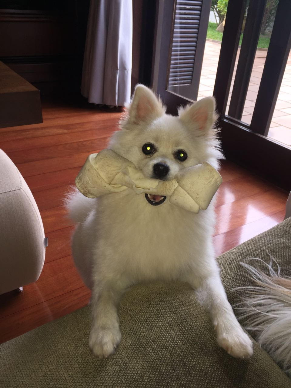 inscription 6ddab3e6f8b0856f1fe764084661976cd30dd11858c5e41a3c8dfcc4c9b59515i0