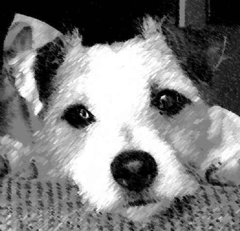 inscription 6e72af3b5e2fee9ba1e173fee94dff0d00eeb6bf0c302a2a3d6fc1a98f5e03d5i0