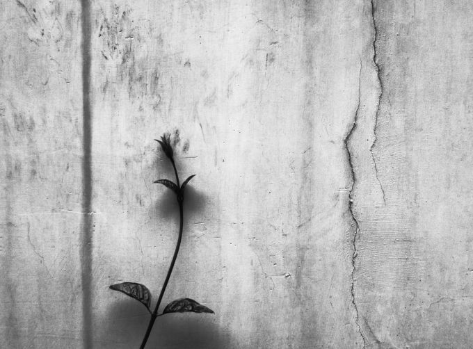 inscription 6f3757fdc09930ae2edee13426f08b9b29b87ab0e162bd93635e765b9a16d700i0