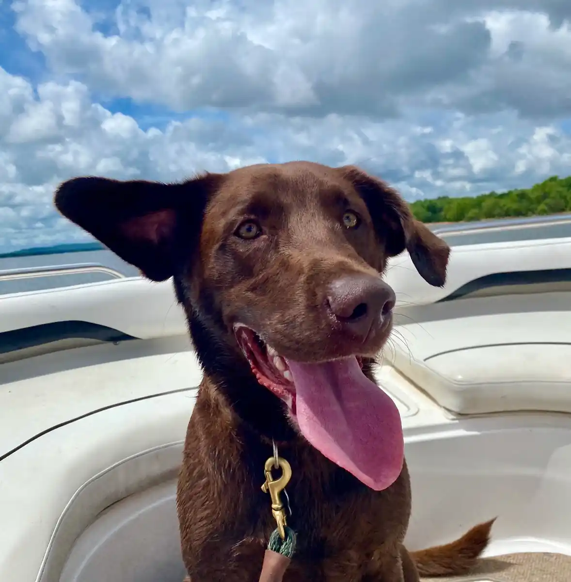 inscription 6fefd69781834ec9ccd4944a49e1ceef828d52bafa179bafd3b54e2673b5f956i0