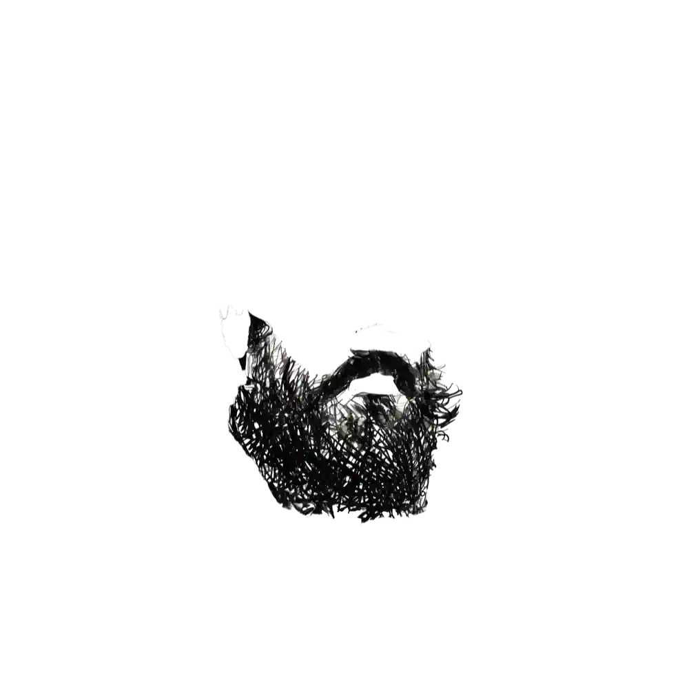 inscription 72d1c0e9865b9cec0a1fe775ab79bb23a165684bbc4dc73c8877a0ddaad0b069i0