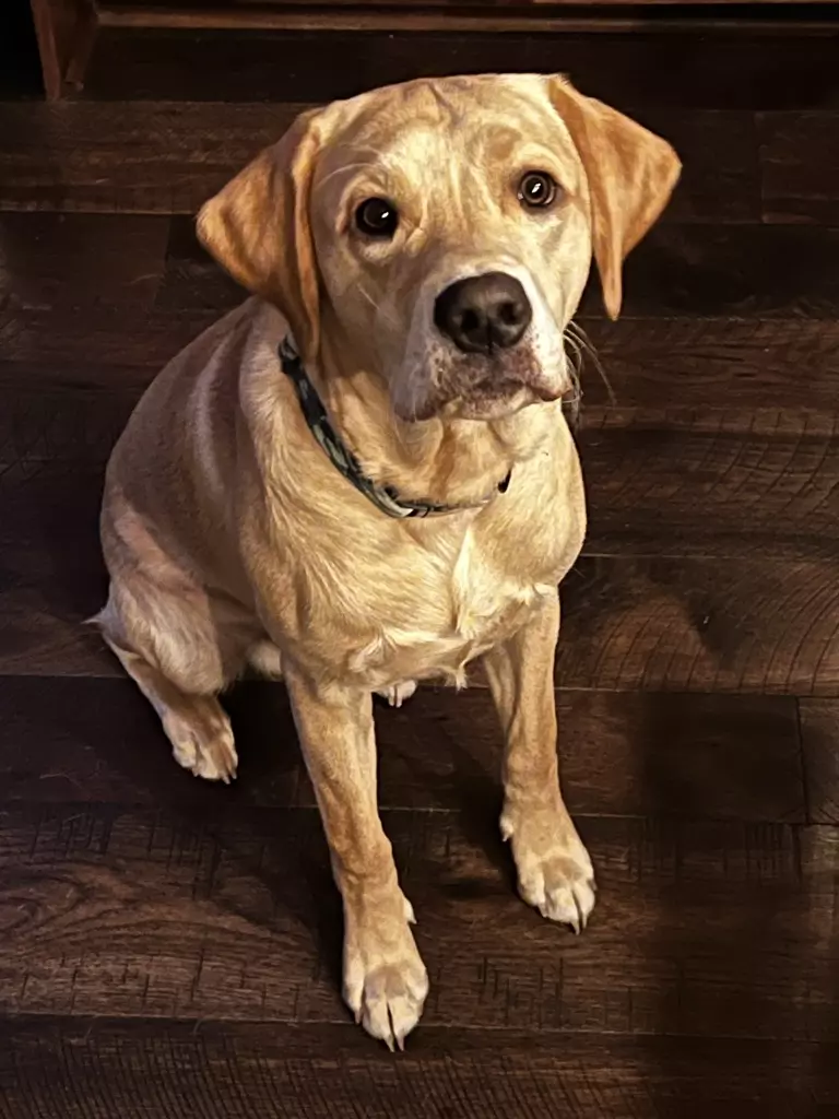 inscription 7363b9e7a41f43ce5b872b92ad10325730e701799b3d19879b73cea1429a8f02i0