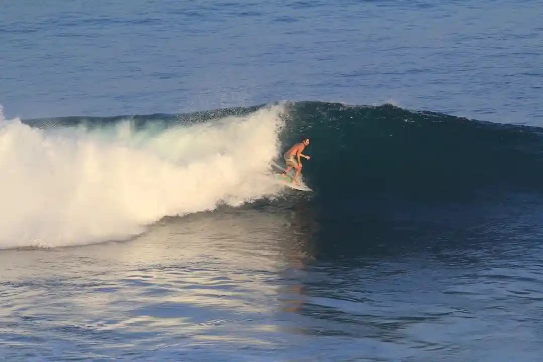 inscription 74f6c79aef00d1c5ac29848adf9e09ffc6437c064a0553d067dfe8ee6918dad8i0