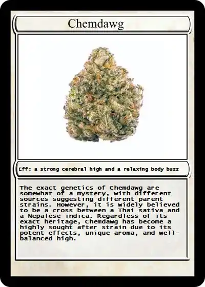 inscription 777bee06f0e03b9efa734291ac6e4946b6bc81b83c43f07446a47051f595cd9ai0