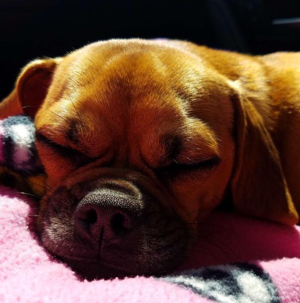 inscription 78611b9daec9992eeab2b96e63822caef5b36de3555ebf579145700af6e9d860i0