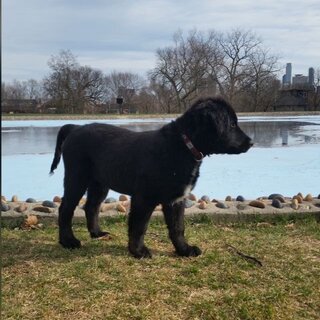 inscription 78f0e58f335c58d0830d227d9fdedfb288c1a4588a85c246b1ea0568ad34deabi0