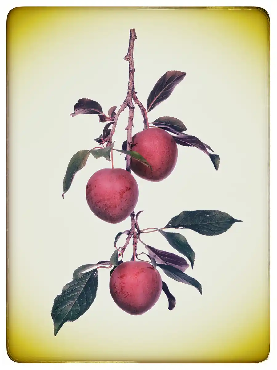 inscription 7b32ab1f492dbfbfd437bf26e61de81de1ce7abbe8b7f7acb6e9148ebfc12f30i0