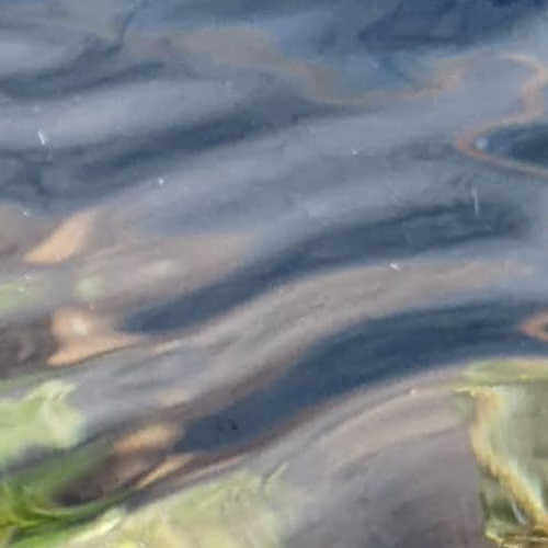 inscription 7e0450d847a3d0bad25e0cca1f694d3b021e22939245f5c8ed7fa4f403b62bf6i0