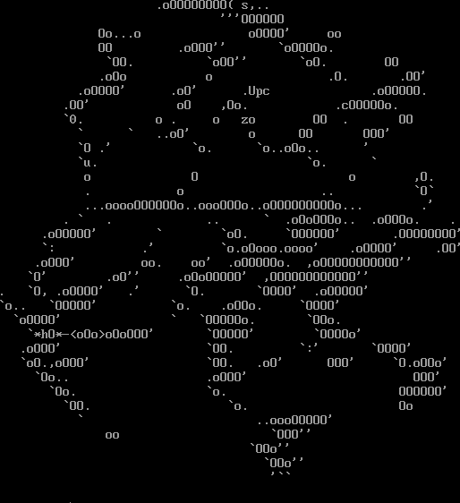 inscription 7e20796964640f4d64eb0dba1b0ef5a1f7472a6001eac3ecc2a560de01c6cbafi0