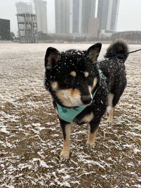 inscription 83d76ff2b3499fca4c1f942e212c0f7c4d0d8991d55f0884dc974a16160f193di0