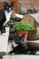 inscription 83f98beae50742a7ff9e92a937c9f805787305a4b401aea1dc67aad54a2d5afdi0