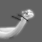 inscription 8ca58d8292c2bd5e73a85e13f42ba7a754ac2a2314c6d6099ad4f977c49f0cbdi0