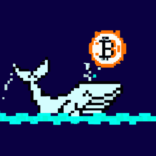 inscription 8cfc586e4a40003601d1aeb589e416f2c516d831e67b240b470dcdc24c25c2c9i0