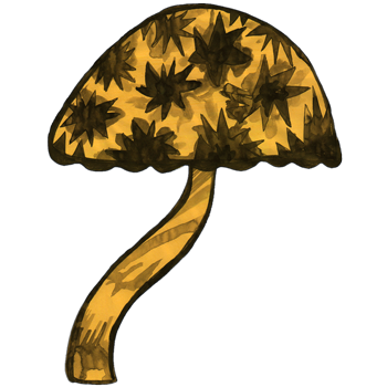 inscription 935633528f236baabf3f1dbcc373fcb52602aa7dd8133d5ebf4f53f3ef26216ei0