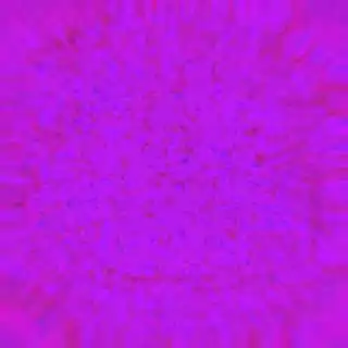 inscription 99797860262c7f9b53999fa7f4d1672b7359895fdf203a097d3c7b928fb574d1i0