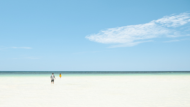 inscription 99fc3c6c2ffed51436a19e017706e0117ae0ec1fc36730a5f0a017e62f370e25i0