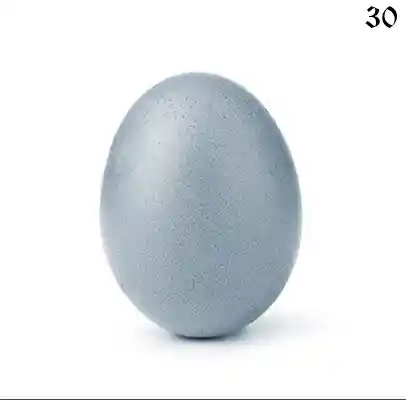 inscription 9b09e131bbbfc5450355648d5a9b45a7c8863f9a068a51ac8572a87398fba03ci0