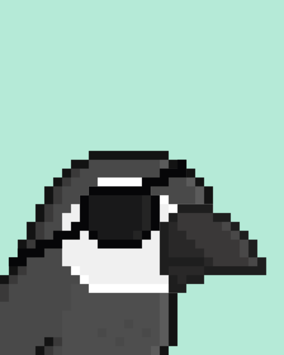 inscription 9b7a9816b50bdb9b0aad70e25401bebc4e66a37d347334ec88a2e9b694b613aci0