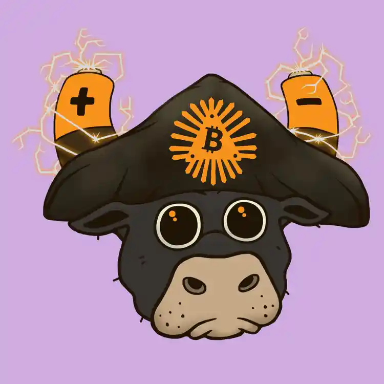 inscription 9cc3a8bffbd1d1e2b60a210cc0ed2f3001561eefbff6e7f22c41c1d368f4e21ci0