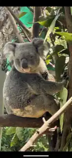 inscription 9fa55bf3965e44dd5641d572a1d5e5a8095e1c4b94e29da6fff183fa338f2312i0