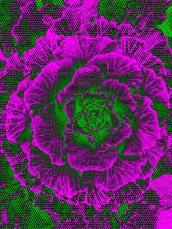 inscription 9fdcc108d368ccac7924d4b5bdc4918bf253ec923b579f16d0b38d3d61f23736i0