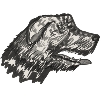 inscription a17c6d64b0a3decf77e819eca1edfac52a66b1a21c4b1e4db258018ab4417d75i0