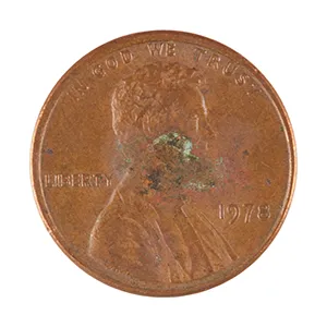 inscription a1c63b6c37b78de893cfb24c8f4869ccb02eafbee9c466a2e521118e722b9b2fi0