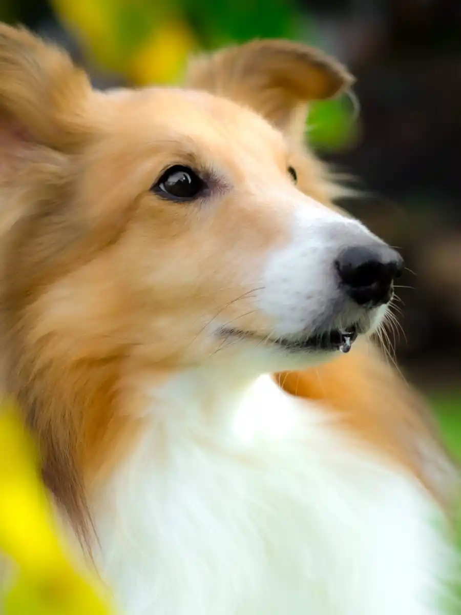 inscription a2ba52e86bdc90e0edd2a8b406d5c79282c0c9f10f144a87f18cc9cffdb6da7fi0