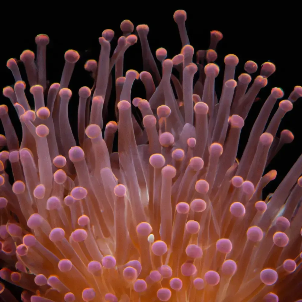 inscription a33ec6b1e282c670fb2ebfb2a9f8395d7c465bee10c39889ca24c33a075195fci0