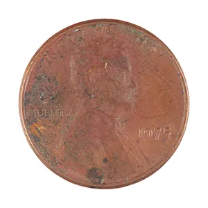 inscription a479254c2daf8832cf356d224ce10414d195c2f2afbdf9b1236fca7cf7a30a59i0