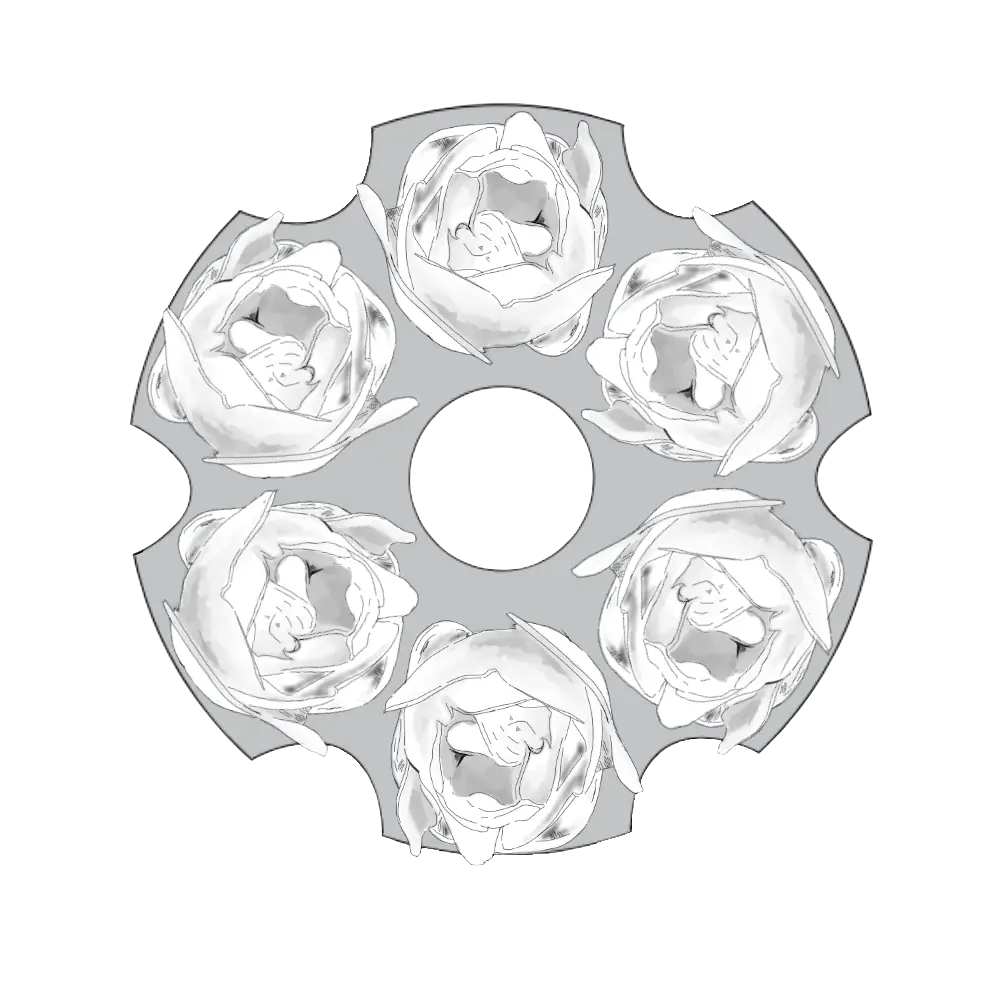 inscription a8205d4c1269863e6e817bc4d1ee8f4b13bc7c62dc173afed61628505501dde6i0