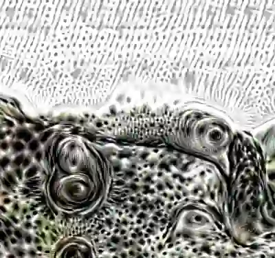 inscription aaf1aa9a7ef8684f686c5c0050f5aa6ba3400bbe144a01e4c4c40add679c7661i3