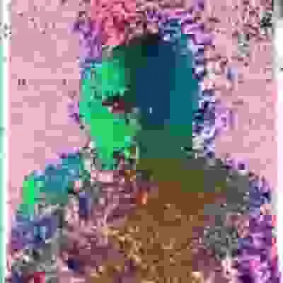 inscription b1d1f394f43903d0b2bf34a96f7f8a23273bf291db1e3d1a0ad749a1016365d1i0