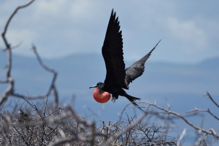 inscription b34966bb56e0c36fd51f47b1f2e24c75c7a82ee48c21e766f474dc59b2467024i0