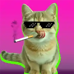 inscription b35ff6dfd1c279a50713886c5bf0814a7c42db597b26d89a788f46e138ea6a17i0