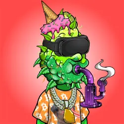 inscription b55cdc991037bcfd2723566fe0a1b8dcab539289e086e8411a8988b96e10272bi0