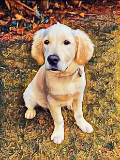 inscription b57b67e4c309ebb4b6989f6e92fa1750d63c14d3975257565a6fdcabf3064610i0