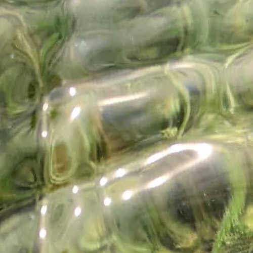 inscription b60c41b00070cb6cc27284b86c3c074e6c1b8b019ae92e897cfb8da826f2d9f8i0