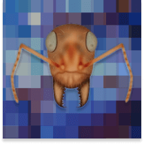 inscription b9cebc67437fc848f60dc0f20239cc15f0dddd8edc9a75f0bd455ac2dbf1526bi0