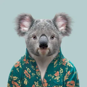 inscription bd452e9754b40f2adbf8b7d84127b496ae7dc39ea3c7f0ab533bca9de8a36805i0